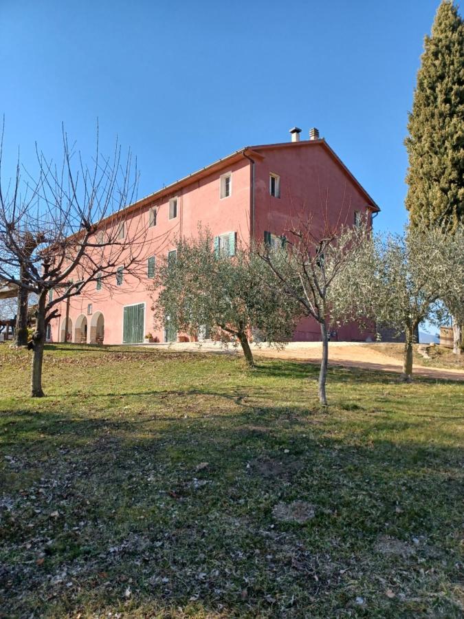 Agriturismo Le Spezie Conegliano Exterior foto