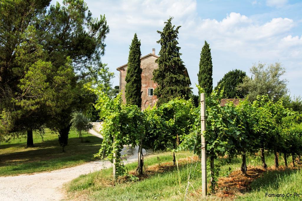 Agriturismo Le Spezie Conegliano Zimmer foto