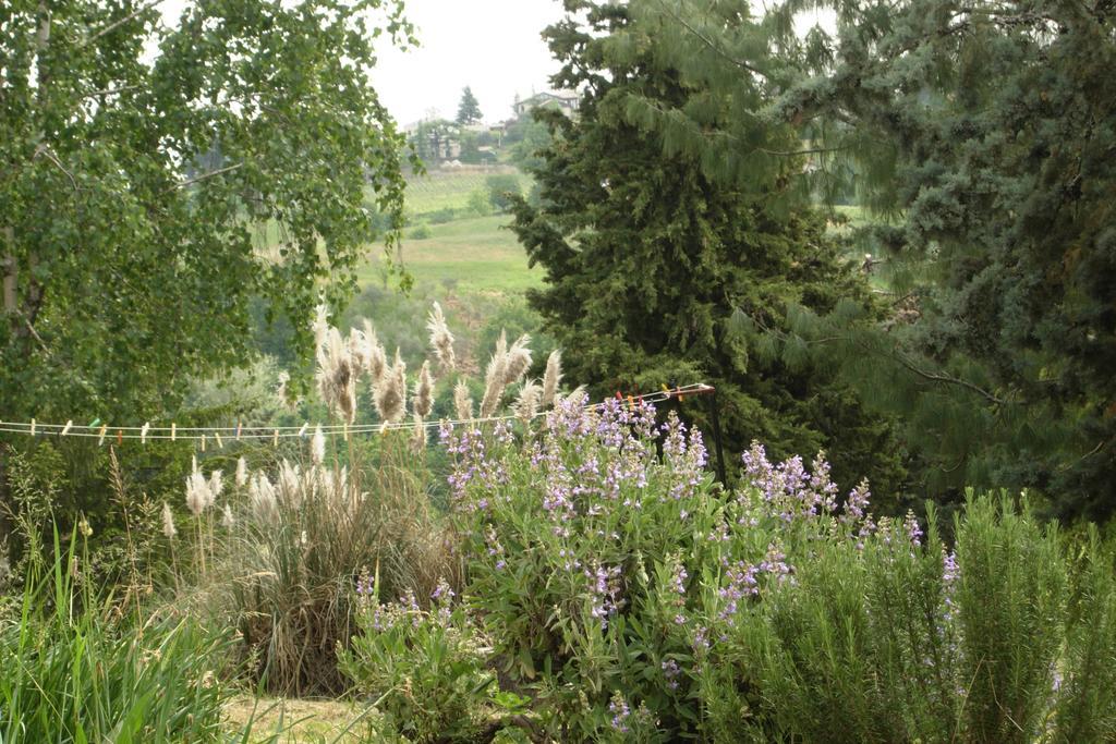 Agriturismo Le Spezie Conegliano Exterior foto