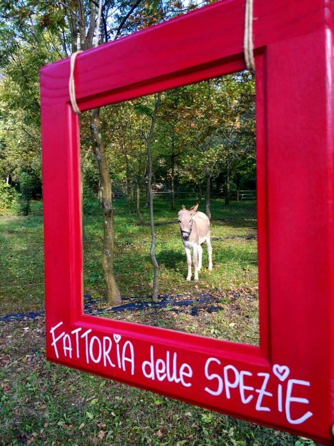 Agriturismo Le Spezie Conegliano Exterior foto